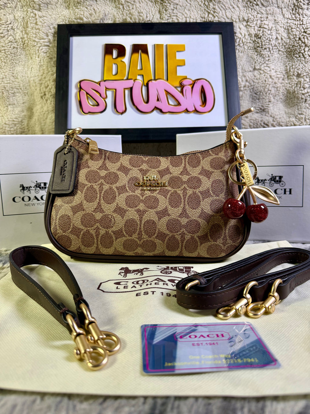 Coach Teri Shoulder Bag In Signature Canvas