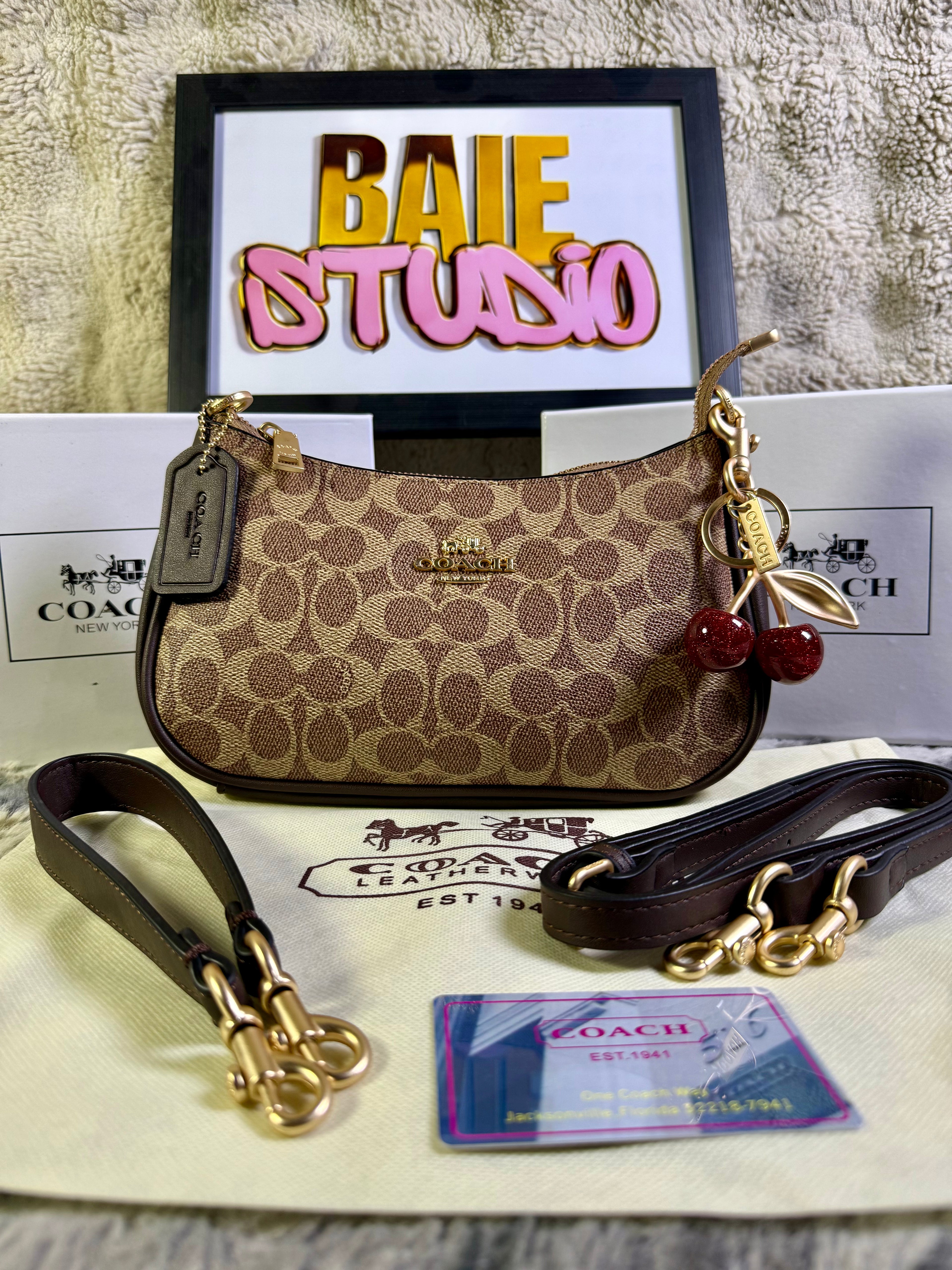 Coach Teri Shoulder Bag In Signature Canvas