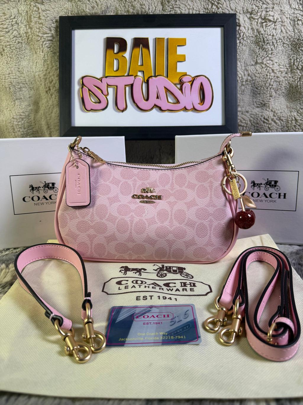 Coach Teri Shoulder Bag In Signature Canvas