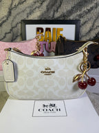 Coach Teri Shoulder Bag In Signature Canvas
