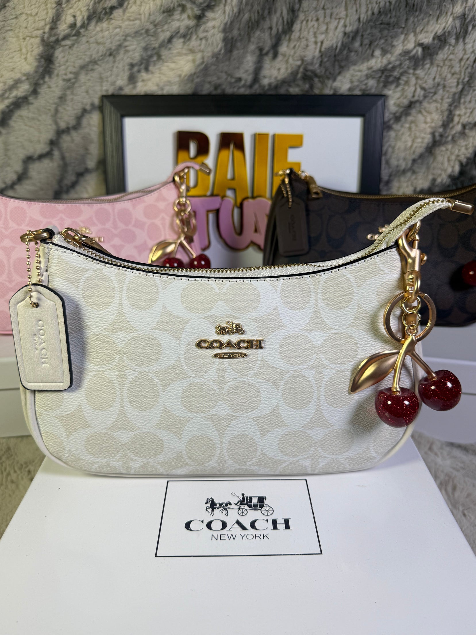 Coach Teri Shoulder Bag In Signature Canvas