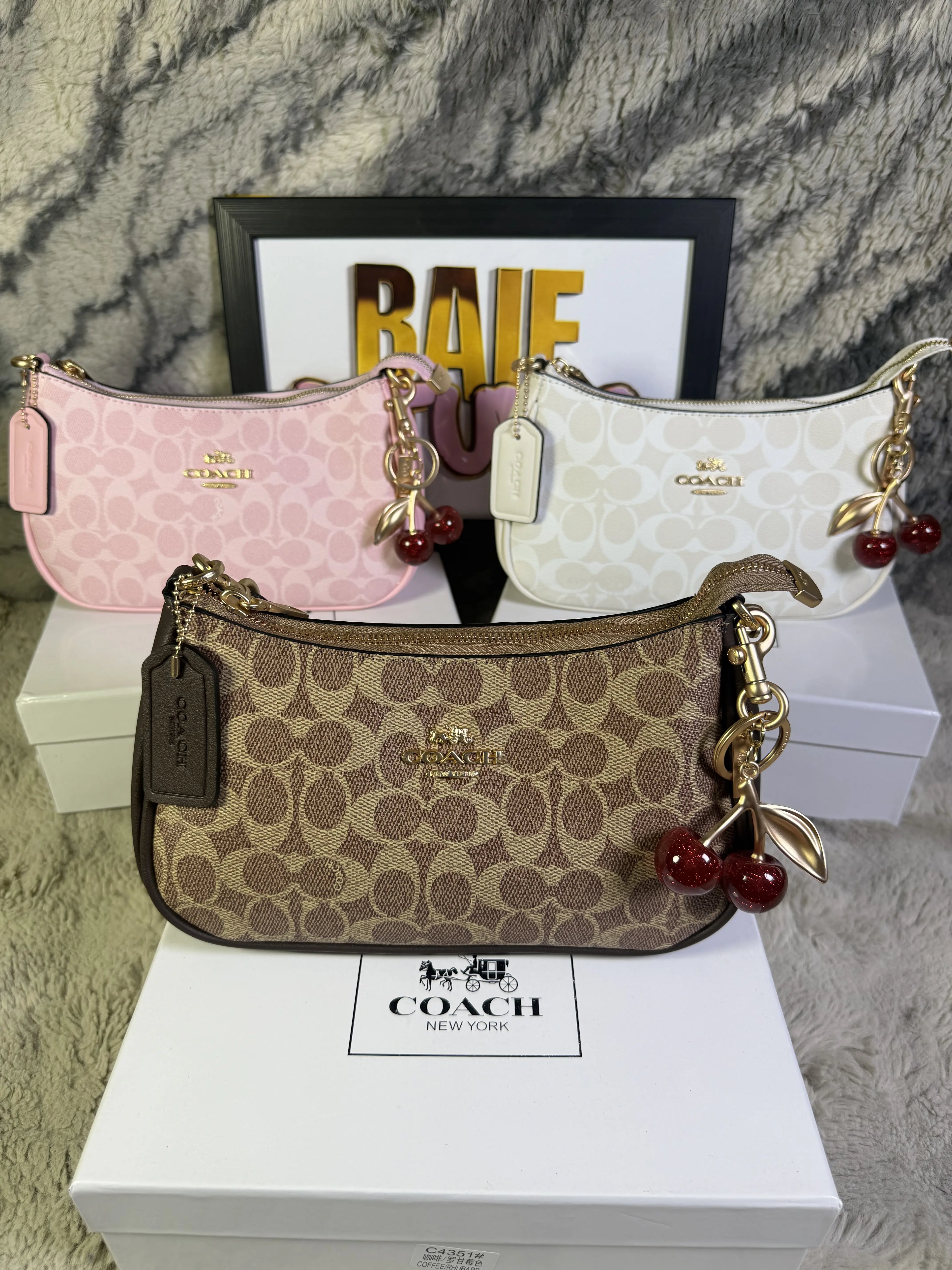 Coach Teri Shoulder Bag In Signature Canvas