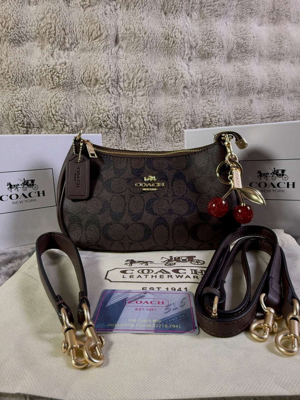 Coach Teri Shoulder Bag In Signature Canvas