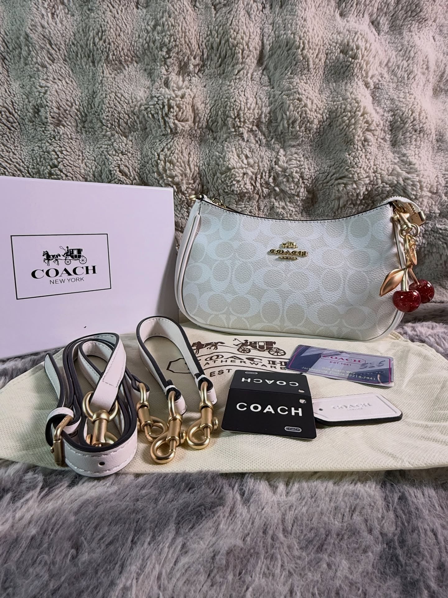Coach Teri Shoulder Bag In Signature Canvas - White